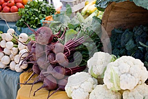 Local Farmers Market