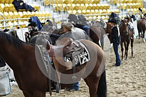 local farmers riding their quaterhorses, competing at a cutting horse, futurity event