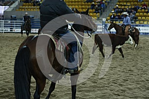 local farmers riding their quaterhorses, competing at a cutting horse, futurity event