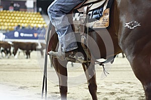 local farmers riding their quaterhorses, competing at a cutting horse, futurity event