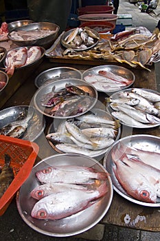 Local Fish, Hong Kong Market