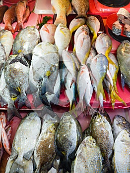 Local fish market in Iligan, Philippines.