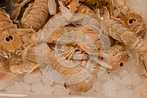 Local Fish Market Stall selling fresh seasonal fish and seafood