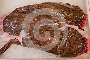 Local Fish Market Stall selling fresh seasonal fish and seafood