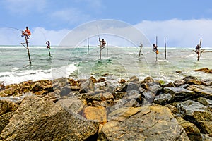 The local fisherman fishing in Galle, Sri Lanka