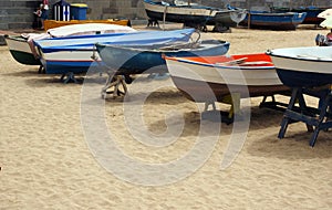 Local fishing boats beach Playa de las Canteras Grand Canary Is photo
