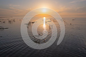 Local fishing trap net in canel, lake or river at sunset. Nature landscape fisheries and fishing tools lifestyle at Pak Pha,