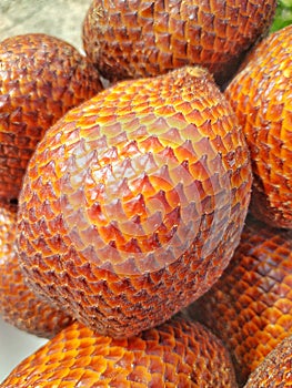 Local fruit snakefruit