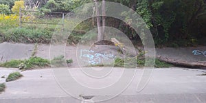 Local graffiti at Smythe Park . Toronto