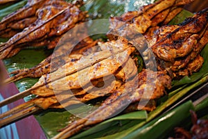 Local grilled chicken on green leaf in thailand