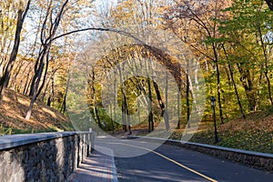 Local hilly asphalt road with retaining wall in autumn forest