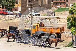 local Horse Carriage for tourists near the dock and the Horus Temple tour excursion