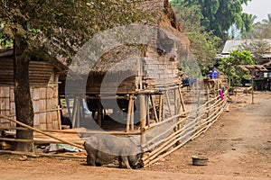 Local houses at Long Neck Karen ethnic hill-tribe guarded village,