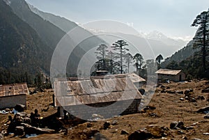 Local houses in Yumthang valley
