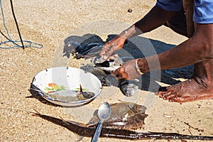 Local Malagasy fisherman cleaning freshly caught fishes on the beach, detail on hands and knife, plate with fresh catch