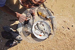 Local Malagasy fisherman cleaning freshly caught fishes on the beach, detail on hands and knife, plate with fresh catch