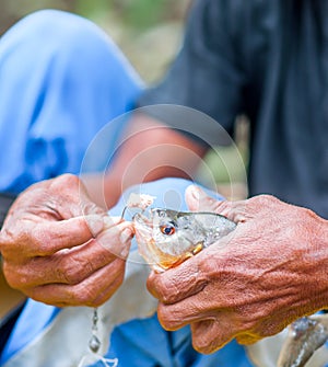 Local man shows piranha fished in Brazil