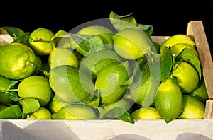 Local market. Boxes with tangerines. Fresh mandarin oranges or tangerines fruit with leaves in boxes at the open air