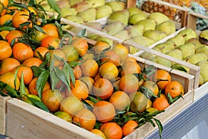 Local market. Boxes with tangerines. Fresh mandarin oranges or tangerines fruit with leaves in boxes at the open air