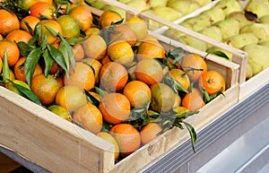 Local market. Boxes with tangerines. Fresh mandarin oranges or tangerines fruit with leaves in boxes at the open air