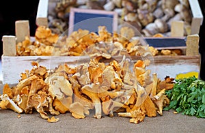 Local market. Boxes with tangerines. Fresh mandarin oranges or tangerines fruit with leaves in boxes at the open air