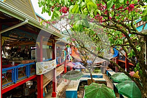 Lokal der Markt Herr  insel Seychellen 