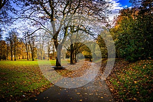 Local Park with beautiful golden orange autumn fall leaves lying on public path in Kilmarnock, Scotland UK