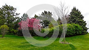 Local Park On A Cloudy Day In Spring