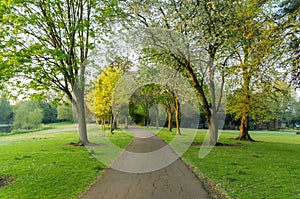 A local park with a pathway