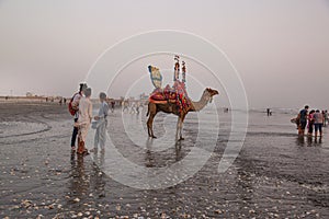 Local people with camel and tourists in Clifton beach in Karachi, Pakistan