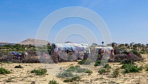 Local People living in the Valley near of Laas Geel Rocks