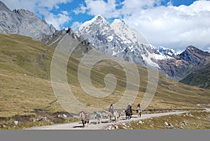 Local Peruvian horseman carrying goods in Peru