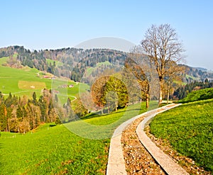 Local road at Appenzell farm ville