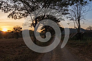 local road at farm during sunset