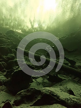 A local scuba diver is backlit in the green waters at Troy Springs State Park, Florida