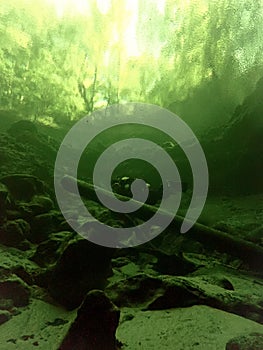 A local scuba diver is backlit in the green waters at Troy Springs State Park, Florida