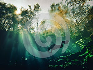 Local scuba diver swims through the clear aqua waters of tree-ringed Troy Springs State Park, Florida