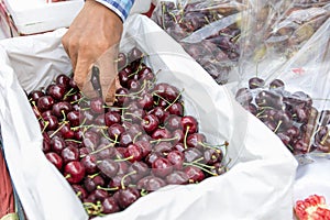 Local seller sell fresh ripe cherry at Bang Lampu market, Bangkok, Thailand