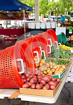 Local Small Town Farmer`s Market