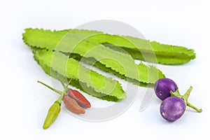 The local Thai vegetable