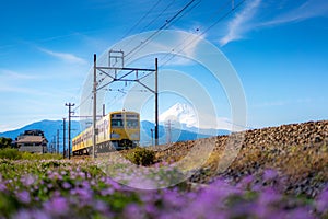 A local train of JR Izuhakone Tetsudo-Sunzu Line traveling through the countryside on a sunny spring day and Mt. Fuji in Mishima,
