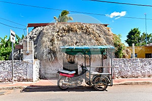 Local Transportation - Santa Elena, Mexico