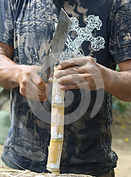 A Local Uses a Machete to Peel Sugarcane Bark, Lahaina, Maui, Ha