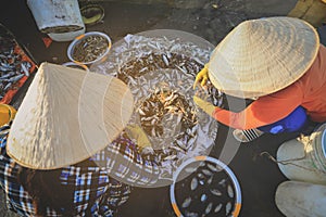 Local vendor is collecting fishes and shrimps in Vietnam