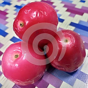 local water guava from Java