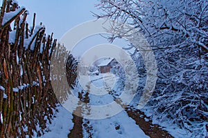 Local winter road leading to small country house. Snowy scenery
