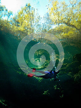 A local woman scuba diver with red fins swims beneath the clear greenish waters at Troy Springs State Park, Florida