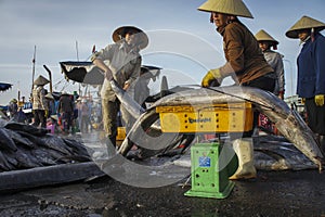 Local woman are working at port