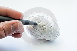 Localization of pathology or problems in brain or learning process in school, medical college or University. Doctor or points to