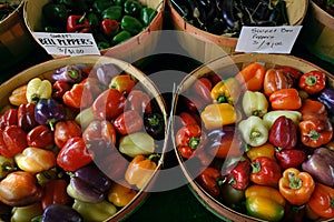 Locally grown bell peppers for sale at the State Farmers Market in Raleigh, North Carolina